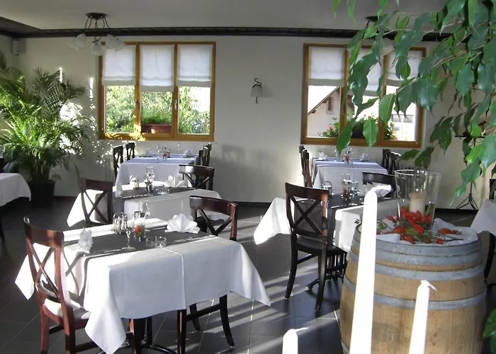 宾馆 Restaurant Alpenblick 3*