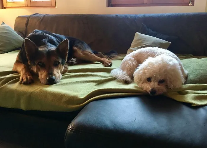 Restaurant Alpenblick 宾馆 3*