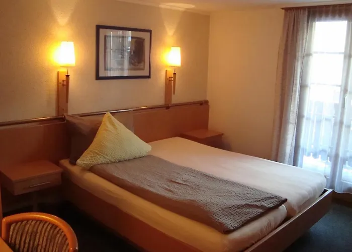 宾馆 Restaurant Alpenblick 3*