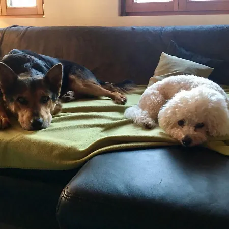 Restaurant Alpenblick Inn 3*